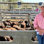 Carolyn and Dallas Davidson from Towri Sheep Cheeses had their drought proofing efforts wiped out | Queensland Country Life