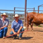 Head of the Outback regatta at Barcaldine, Longreach continues to grow | North Queensland Register