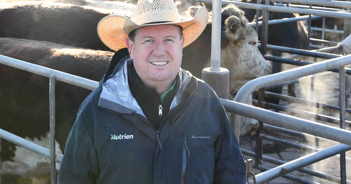 Fresh calls for Gov't live export ban rethink