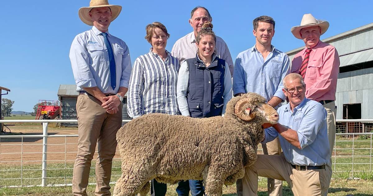 Long-term clients pivotal at Towalba sale