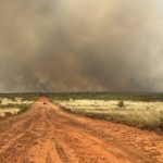 Man dies after ute crashes on New England road