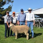 Top price bull heads north to Cloncurry after National Charbray sale