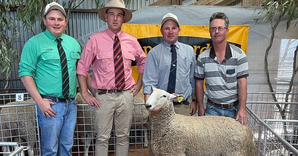 First cross lamb producers invest in Womboota genetics