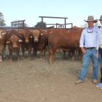 Six figure bull headlines Yarrawonga sale