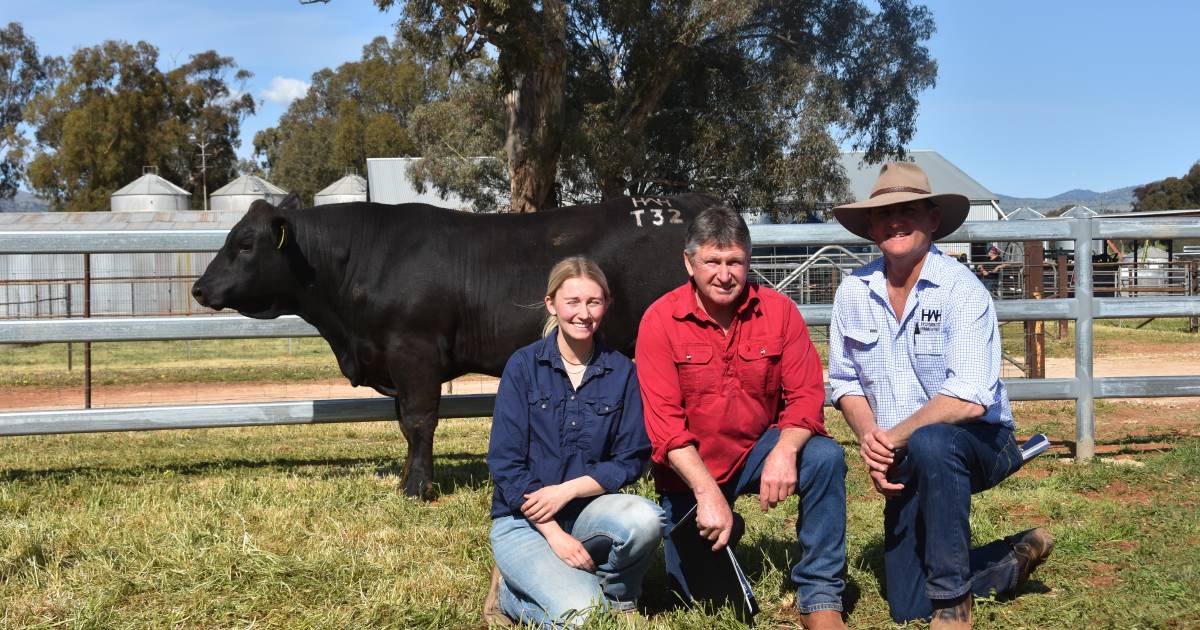 Wormbete sale sees studs step in to secure both bulls and females