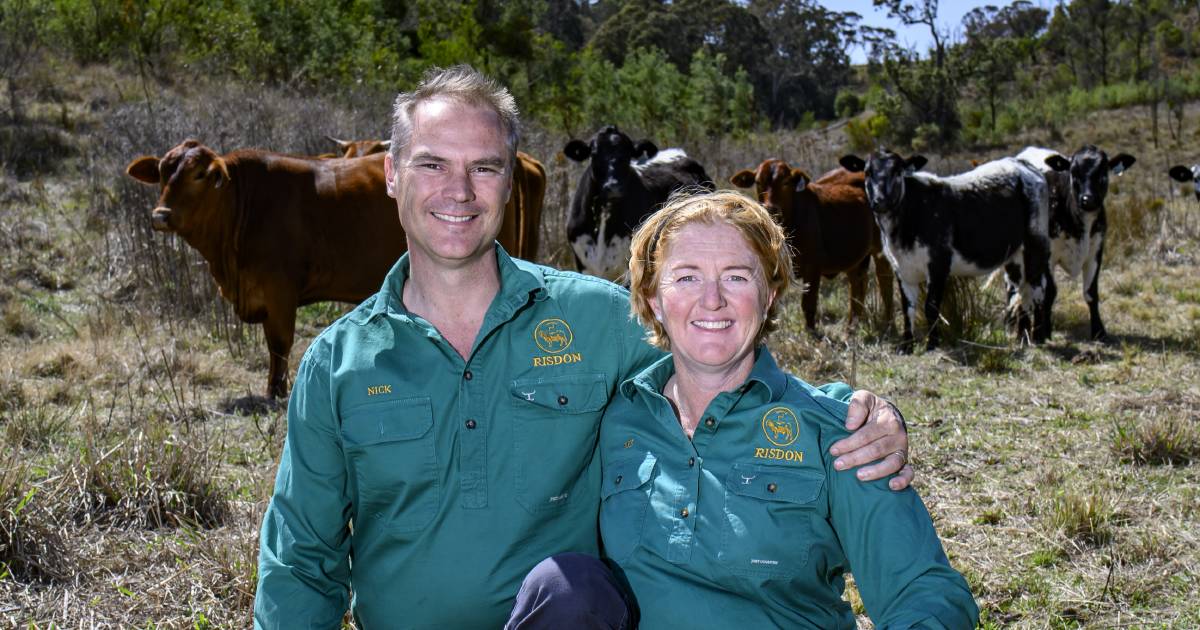 Australia's Santa Gertrudis birthplace is in good hands 71 years on