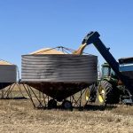 Frozen pellets and straws in AI trial | Farm Weekly