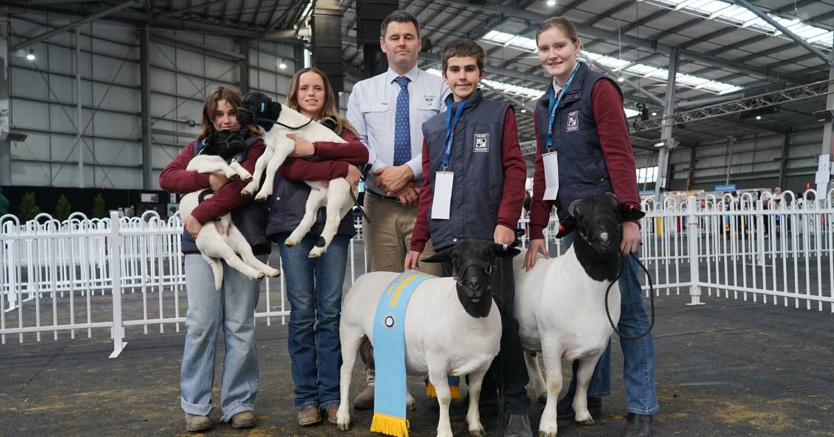 Dorper win 'surprises' high school students who love showing their sheep