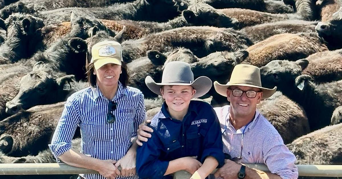 Angus weaner heifers hit $1900/hd at Roma store sale | Queensland Country Life