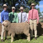 Chickpea harvest underway in central Queensland as demand grows | Queensland Country Life