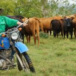 The Australian Ag Podcast: Market Check chief Nick Crundall on harvest 2023 fortunes