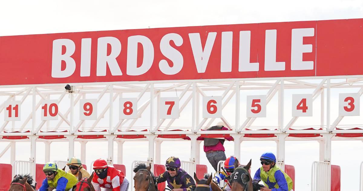 Standards for compliance and animal welfare set at Birdsville Races | The North West Star