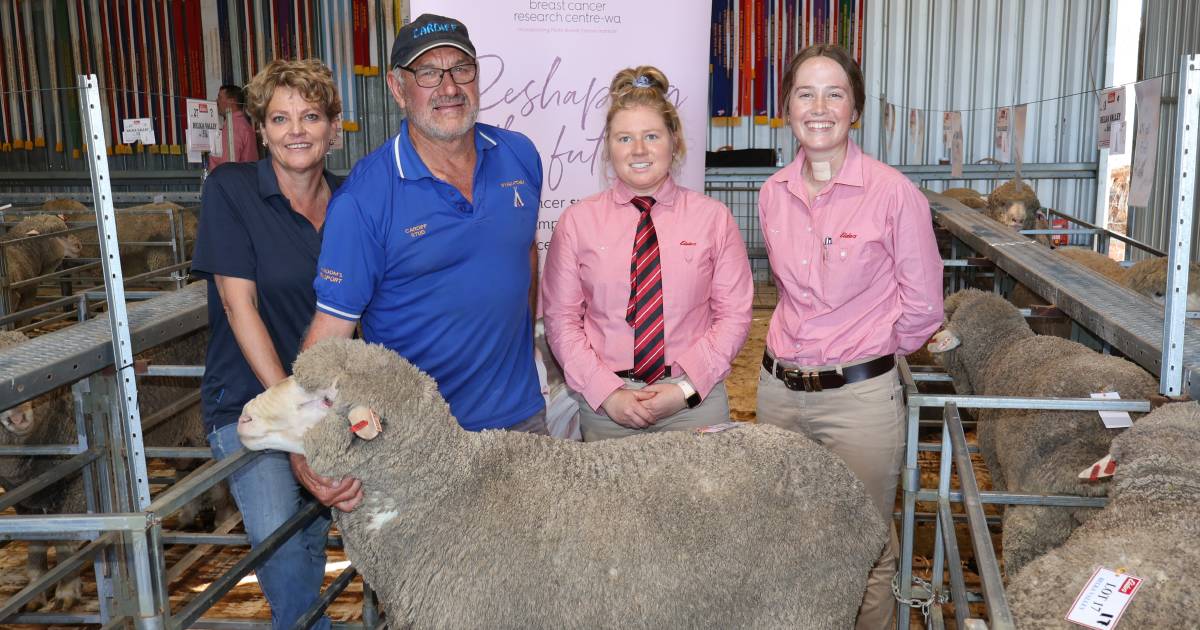 Strong average price seasons first ram sale | Farm Weekly