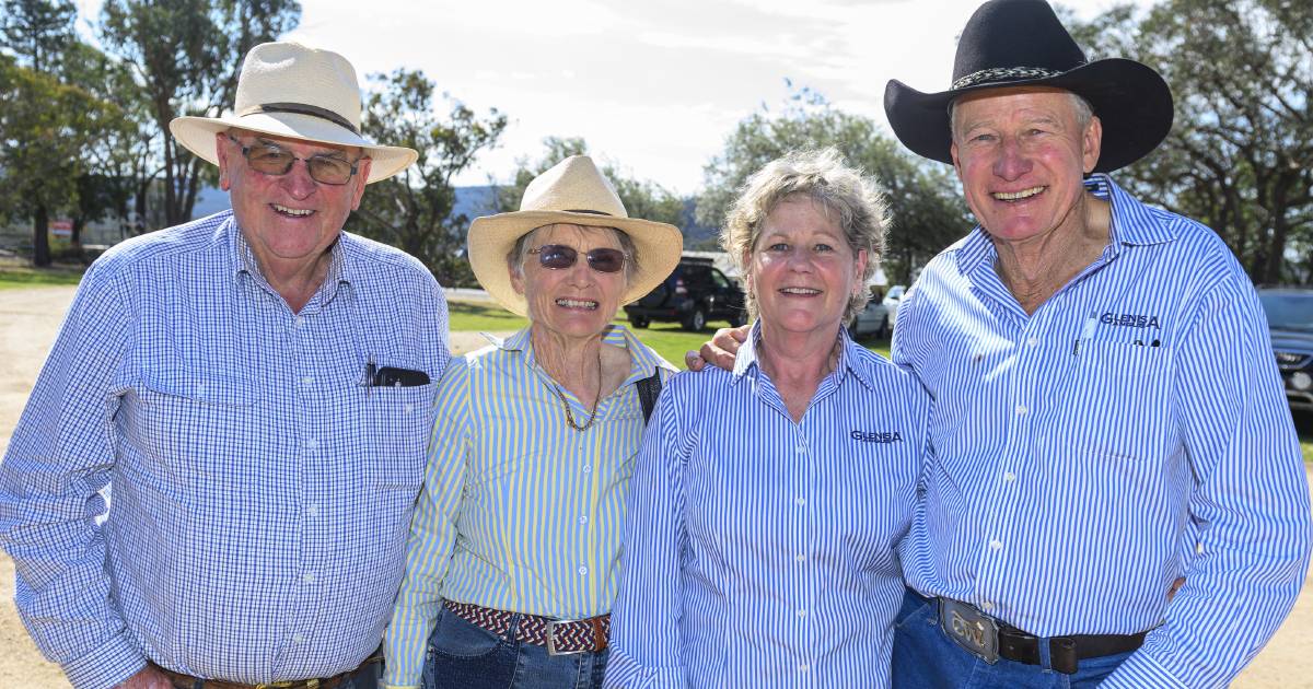 GALLERY | Glenisa Angus bull sale