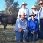 Success for Weebollabolla Shorthorns during 56th annual sale