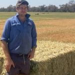 Hay prices creep up as consumers look to lock in supply | The Land