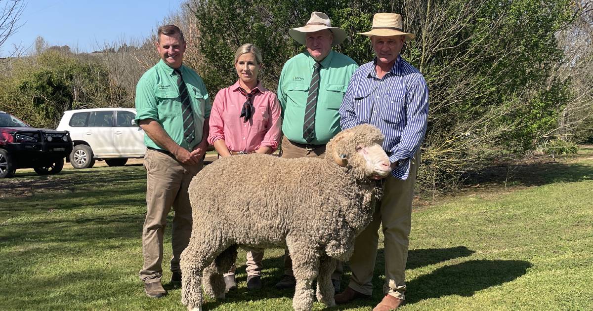 Tara Park's top-priced ram purchased by interstate buyers