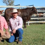 All the photos from day one of the Henty Machinery Field Days