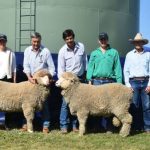 Small block sells for $4.4 million in tightly-held southern Wheatbelt area