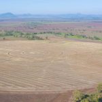 Negotiations continue on Condobolin's Glenkerry, Kurrajong Brae