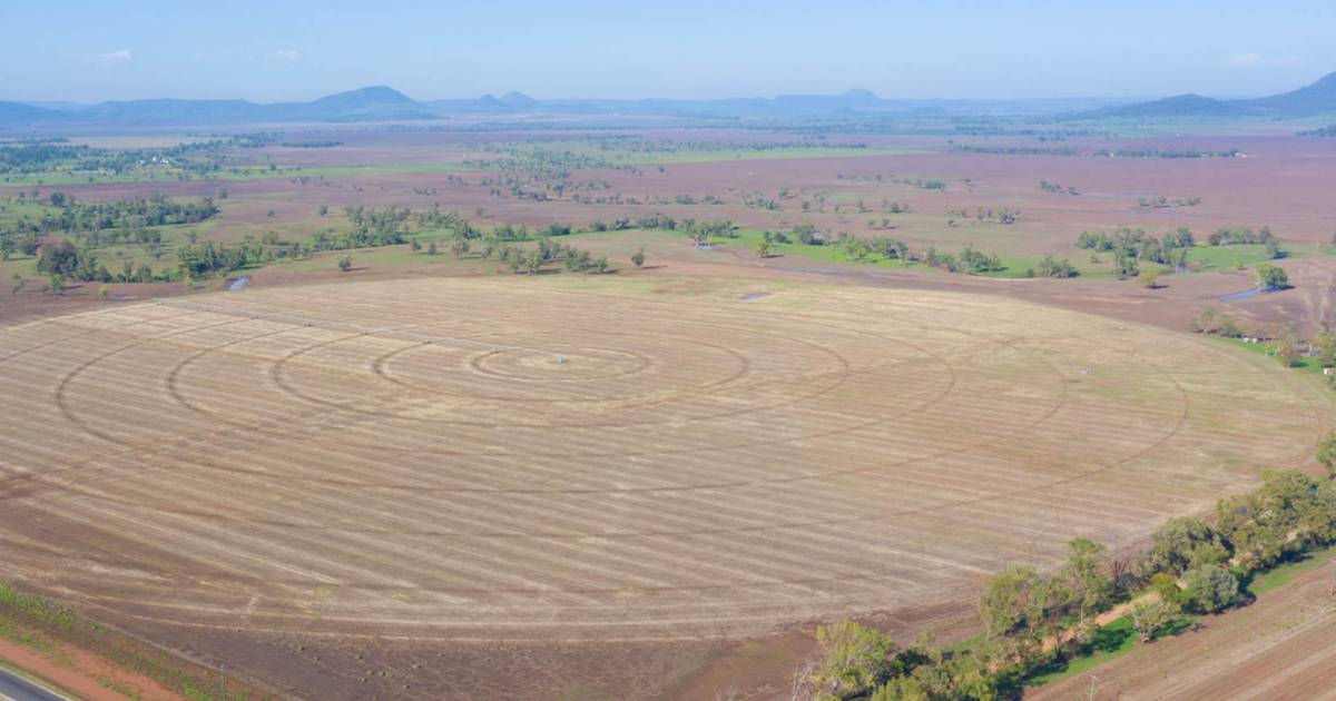 Top quality Liverpool Plains farming country on the market