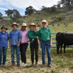 Good demand for Valera Vale Droughtmasters at 2023 on-property sale | Queensland Country Life