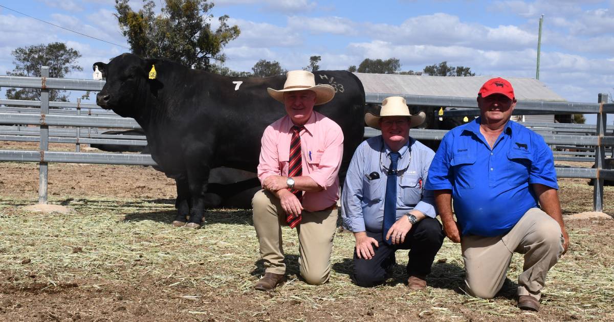 Carabar's top bull heads south to Glen Innes