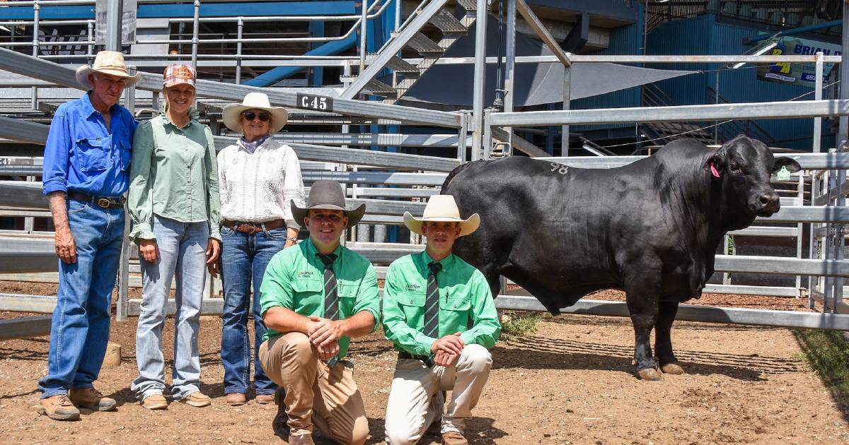 Top selling bull at Central Brangus Classic sale bound for stud duties