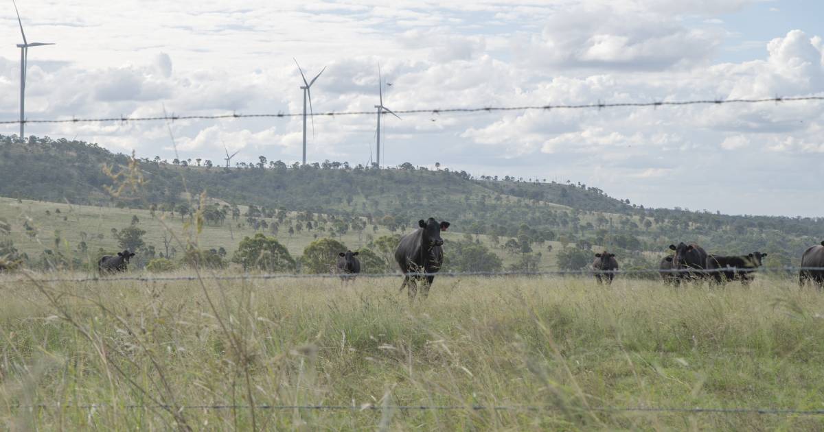 AgForce slams Queensland’s wind farm rules | Queensland Country Life