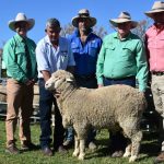 Garnett SheepMaster stud is up for sale | Farm Weekly