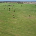 Consultation now open for future drought funding