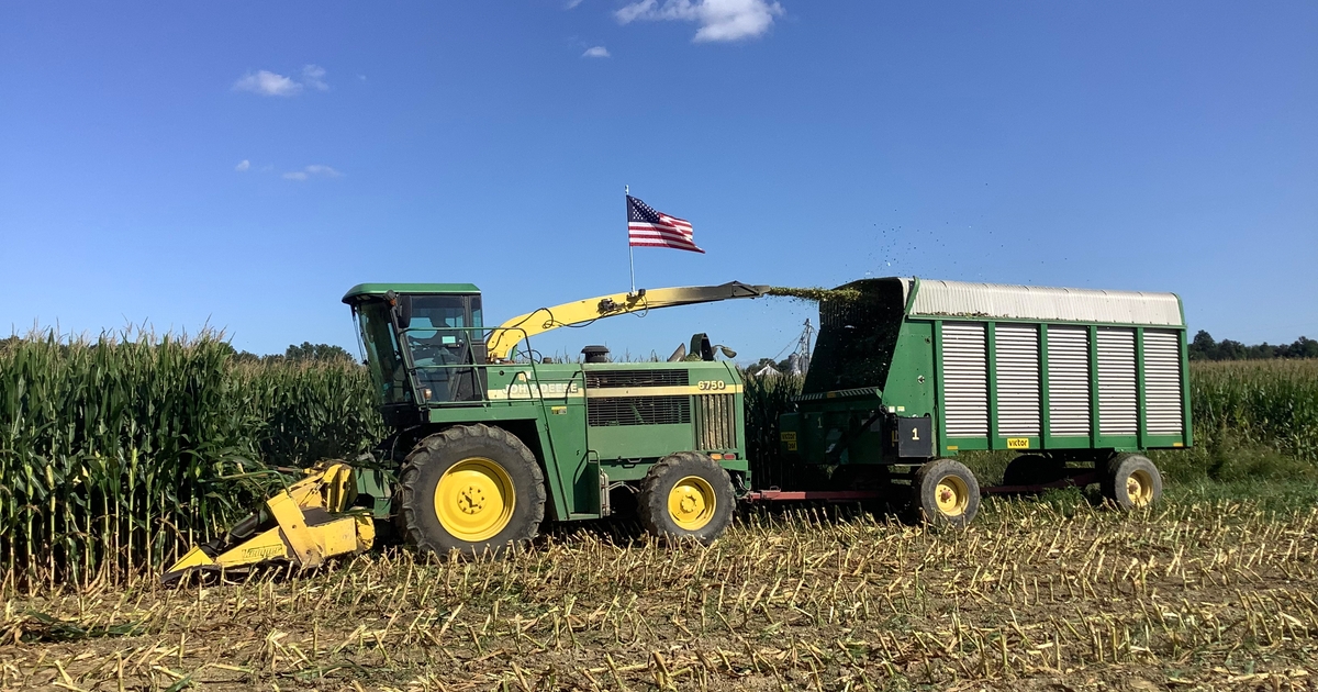 Keep forage nitrate toxicity in mind this year