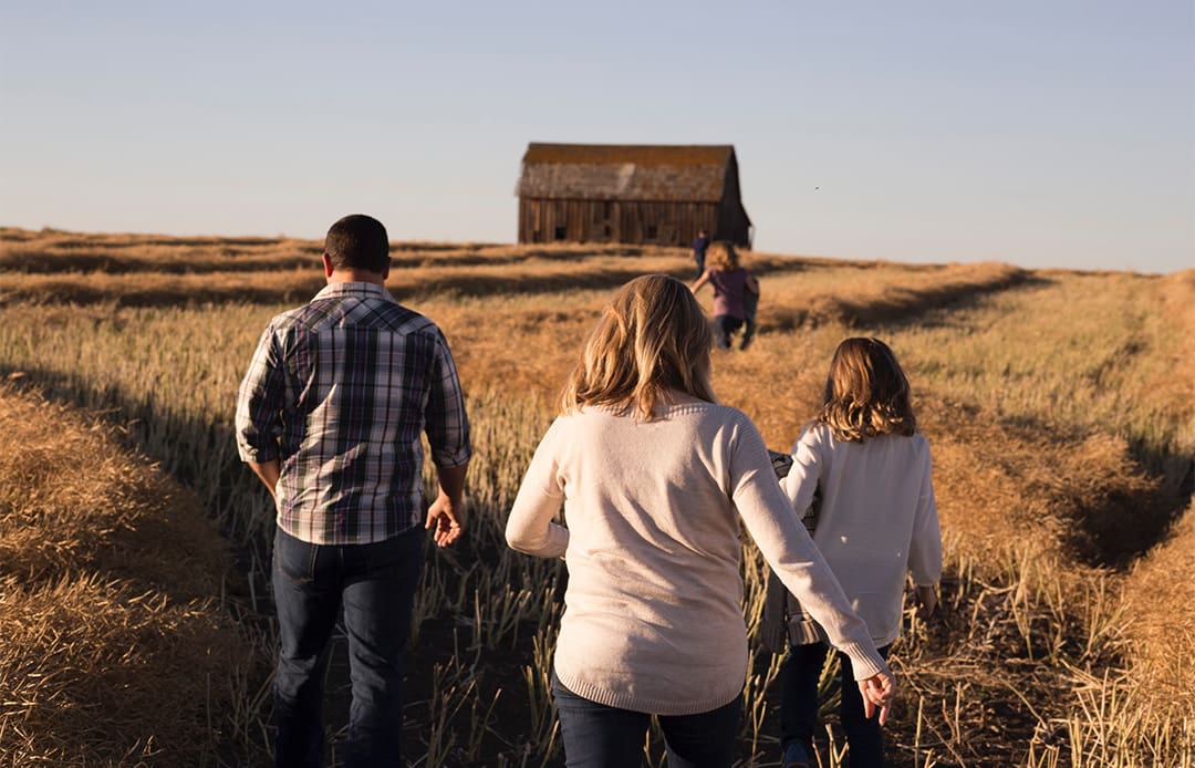 UNE starts first tertiary succession planning course in Australia