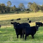 Drier than median October to December likely for much of Australia