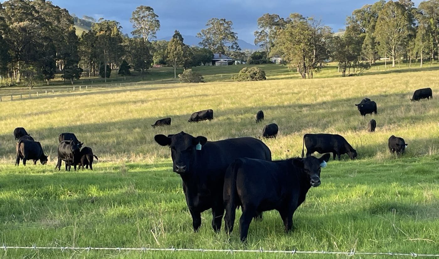 More soil carbon credits issued as researchers find cheaper ways of measuring