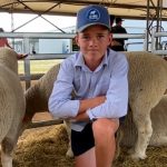 Dalby sale 4 Oct 2023: Most classes sell at cheaper rates