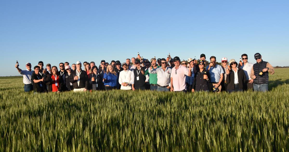 Aussie malt barley wins plaudits in emerging markets | Farm Weekly