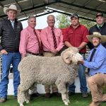 Two six figure bulls take 2023 Brahman Week to next level