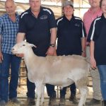 First time vendors top Rockhampton Brangus Female Sale