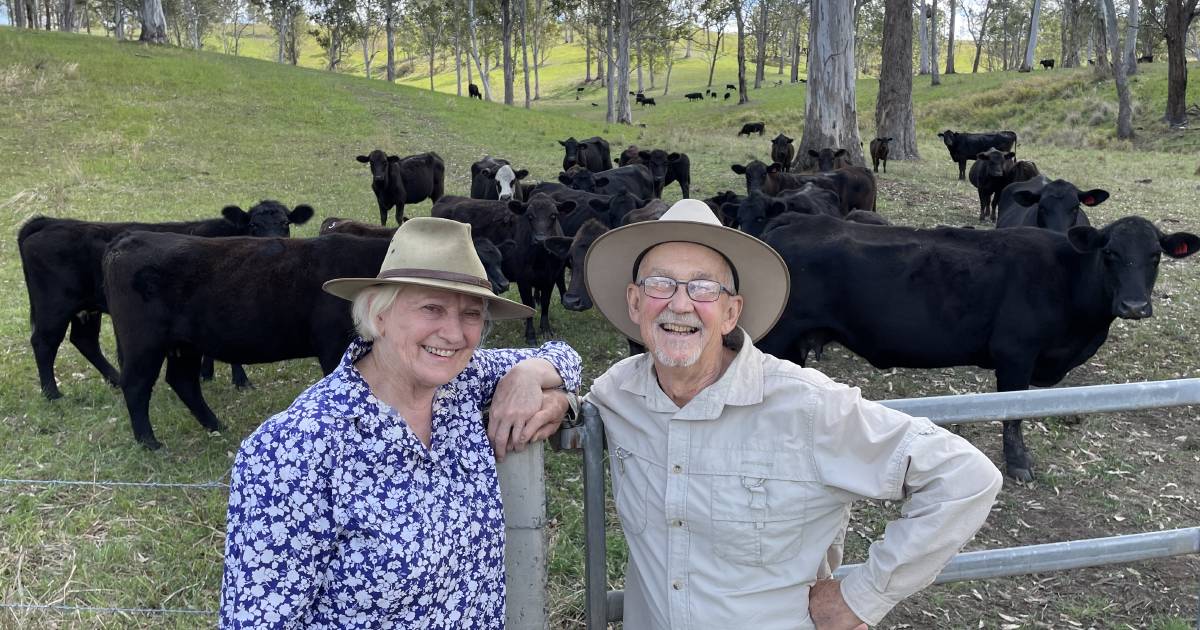 Active management to control Pasture Dieback | The Land