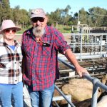 Balonne Shire Council wants carbon farms classified differently to traditional farming | Queensland Country Life