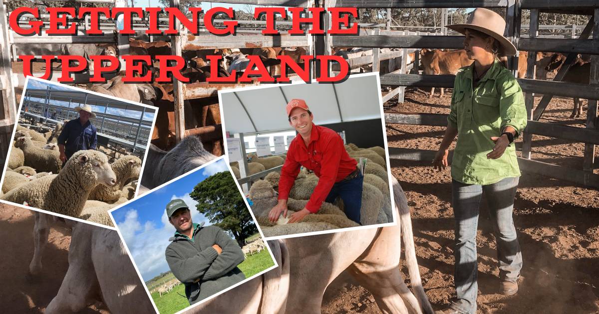 Ag’s change of face, powerline safety fears, a spring in lamb sales and drenching sheep with worms; Getting the Upper Land episode 14 | The Land