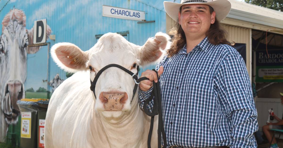 Young gun ready for beef cattle judging | Farm Weekly