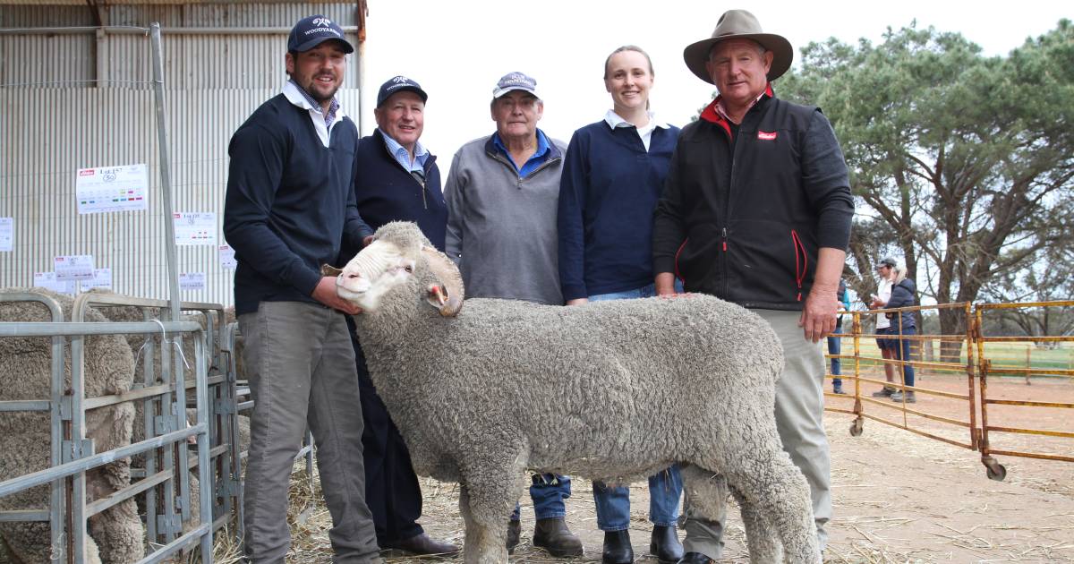 Comprehensive result for Woodyarrup at on-farm sale