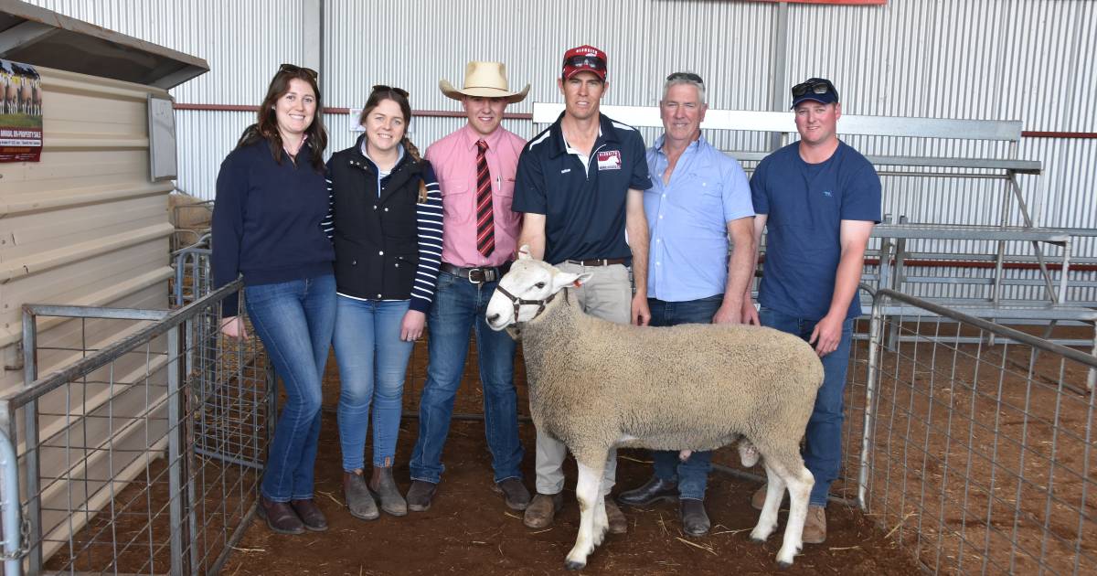 New Victorian stud secures top ram at Gleneith Border Leicesters | The Land