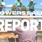 Conrayn Merino stud sets on-property ram sale record