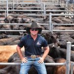 Producer participation crucial to success of new national beef industry statistical survey