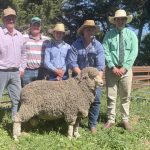 Prime time for drones on feral pig watch in NT