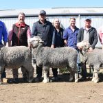 Bulls sell to $70,000 at Great Northern Brahman Sale