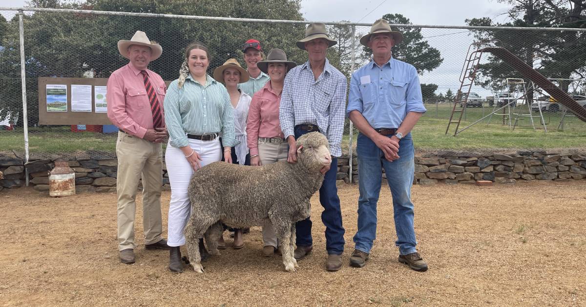 Greendale Merino ram top at $5250 to repeat buyer